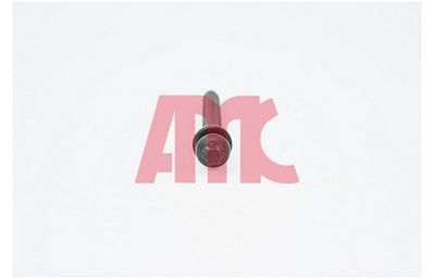 ZYLINDERKOPFSCHRAUBENSATZ