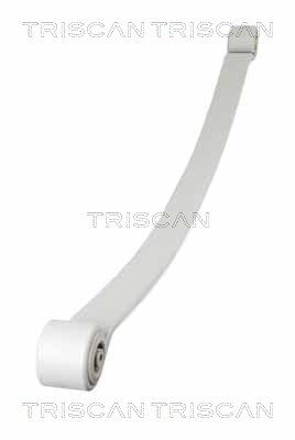 TRISCAN Federnpaket