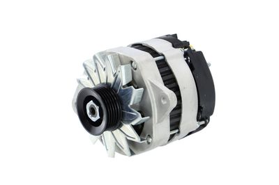 GENERATOR / ALTERNATOR REMANTE 011003000081R 9