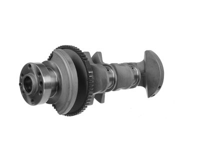 ARBORE COTIT ET ENGINETEAM HK0216 15