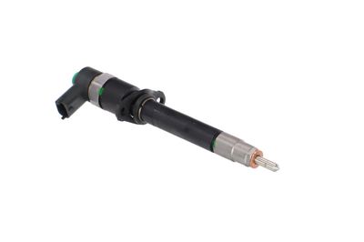 INJECTOR REMANTE 002003000196R 50