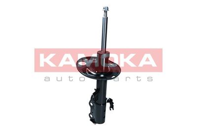 Shock Absorber 2001107