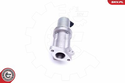 EGR Valve 14SKV209