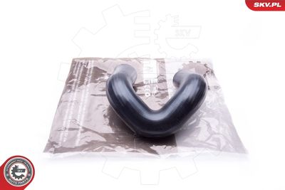 FURTUN EAR SUPRAALIMENTARE