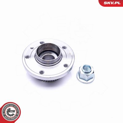 SET RULMENT ROATA ESEN SKV 29SKV198 1