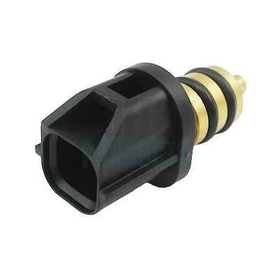 Sensor, Kraftstofftemperatur
