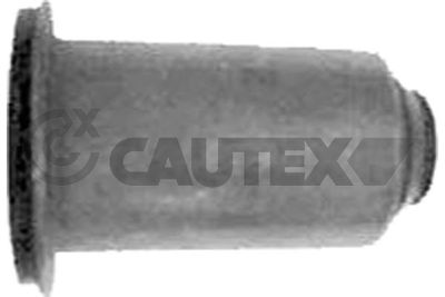 Кронштейн, подушки рычага CAUTEX 770835 для RENAULT 25