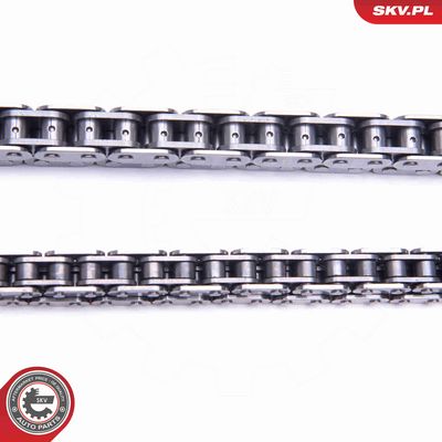 CHIT LANT DE DISTRIBUTIE ESEN SKV 21SKV176 2