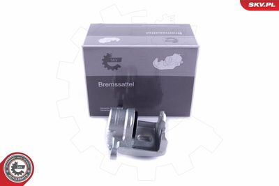 Brake Caliper 55SKV374