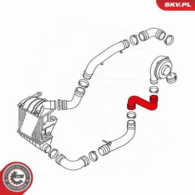 FURTUN EAR SUPRAALIMENTARE ESEN SKV 24SKV648 3