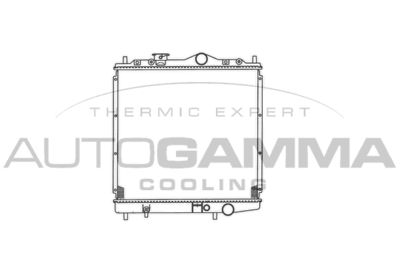 AUTOGAMMA 101435 Крышка радиатора для MITSUBISHI LANCER V (CB_A, CD_A, CE_A)