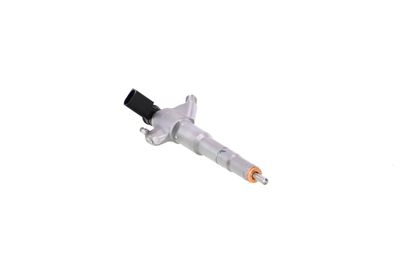 INJECTOR REMANTE 002003002384R 48