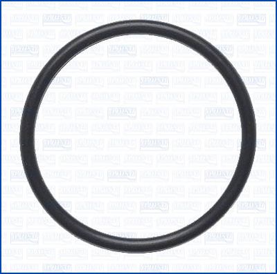 GARNITURA CONDUCTA LICHID DE RACIRE