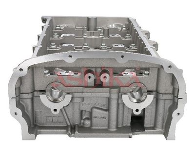 CHIULASA ASHIKA FO11ES 1