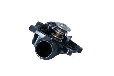 TERMOSTAT LICHID RACIRE NRF 725091 38