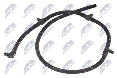 BPP-CH-006