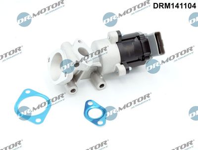 Zawór AGR DR.MOTOR AUTOMOTIVE DRM141104
