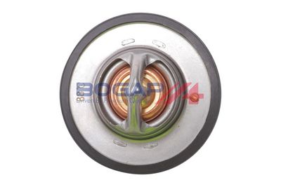 TERMOSTAT LICHID RACIRE BOGAP N4245100 1