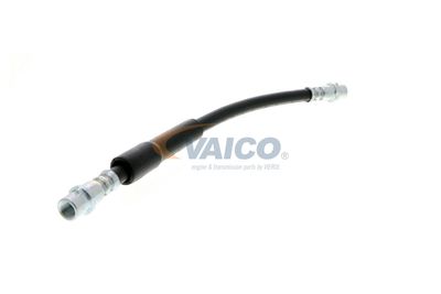 FURTUN FRANA VAICO V104119 52