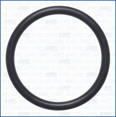 GARNITURA CONDUCTA LICHID DE RACIRE