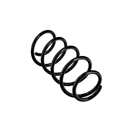 ARC SPIRAL EIBACH R10478 11