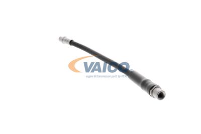 FURTUN FRANA VAICO V250900 19