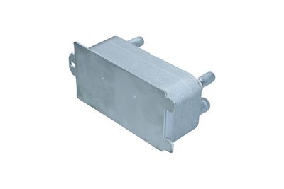 RADIATOR ULEI ULEI MOTOR KAMOKA 7730155 2