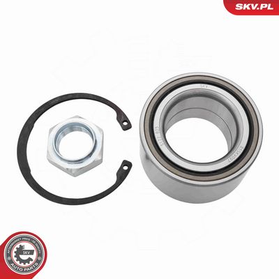 SET RULMENT ROATA ESEN SKV 85SKV097 1