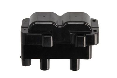 Ignition Coil ENT960048