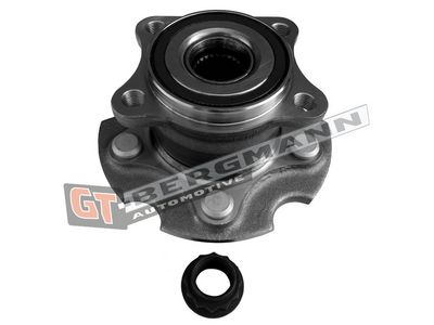 GT-BERGMANN Automotive Rato guolio komplektas