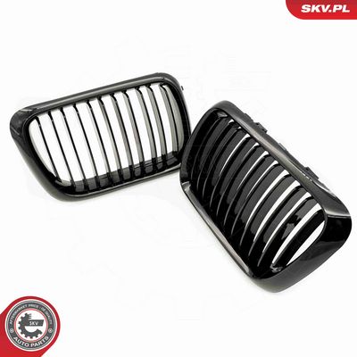 GRILA RADIATOR ESEN SKV 66SKV049 2