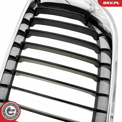 GRILA RADIATOR ESEN SKV 66SKV079 7