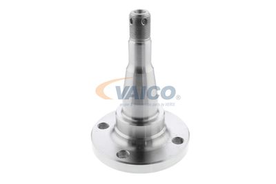 BUTUC ROATA CORP AXA VAICO V400793 36