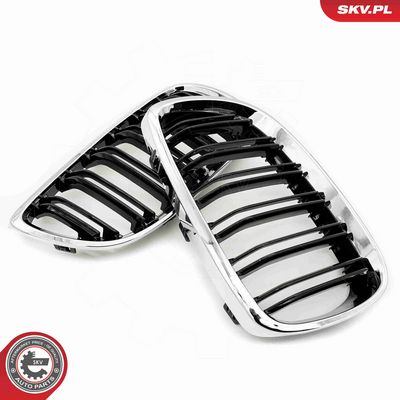 GRILA RADIATOR ESEN SKV 66SKV110 2