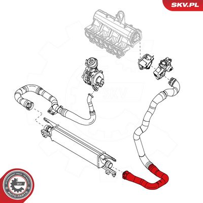 Kompresoriaus padavimo žarna