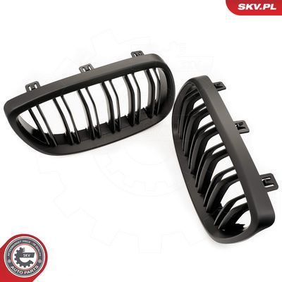 GRILA RADIATOR ESEN SKV 66SKV109 2
