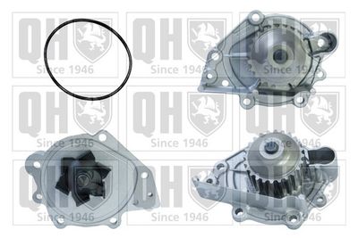 Водяной насос, охлаждение двигателя QUINTON HAZELL QCP3553 для ROVER 45