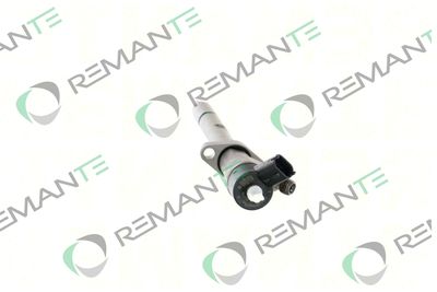 INJECTOR REMANTE 002003002117R 1