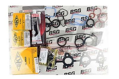 BSG BSG 30-115-008 Комплект прокладок двигателя  для PEUGEOT 1007 (Пежо 1007)