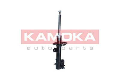 Shock Absorber 2001140