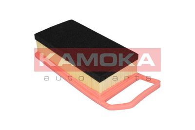 Air Filter F223801