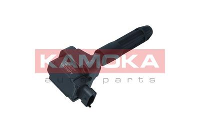 Ignition Coil 7120130