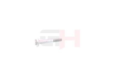 SURUB CAPAT DE AX GH GH391518 9