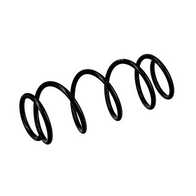 ARC SPIRAL EIBACH R10001 17