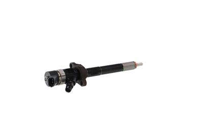 INJECTOR REMANTE 002003000030R 32