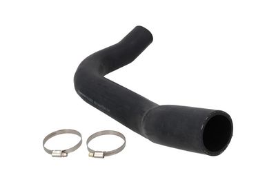 FURTUN EAR SUPRAALIMENTARE