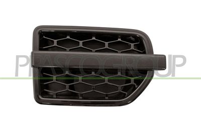 ZIER-/SCHUTZLEISTE KOTFLüGEL PRASCO LR0321413