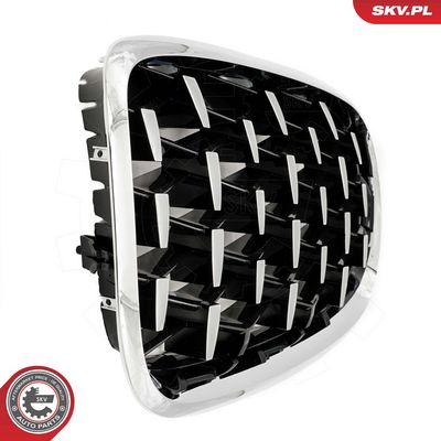 GRILA RADIATOR ESEN SKV 66SKV293 7
