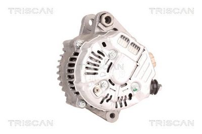 generátor TRISCAN 8310 25003