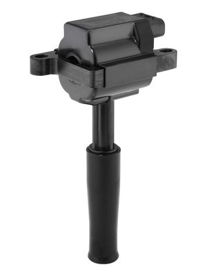 ZüNDSPULE BorgWarner (BERU) ZS579 1